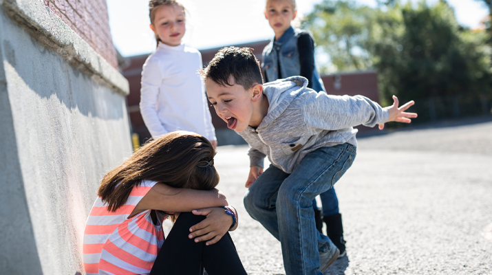 bullying cyber bullying