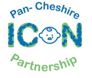 ICON logo